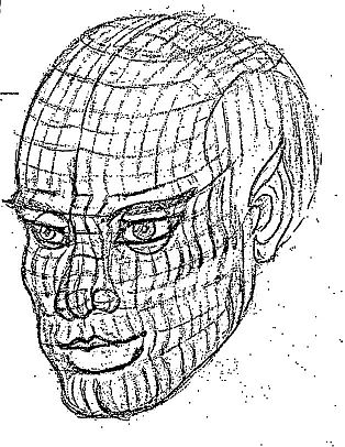 Beau's head in wireframe